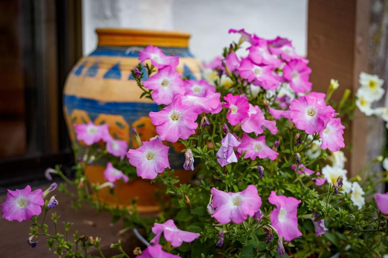 Sensom Boutique Bed And Breakfast แซฟไฟร์บีช ภายนอก รูปภาพ